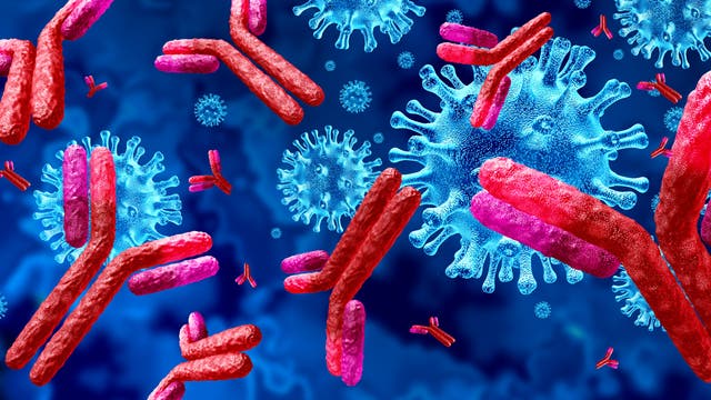 Stilisierte Viren und schematisch dargestellte Antikörper.