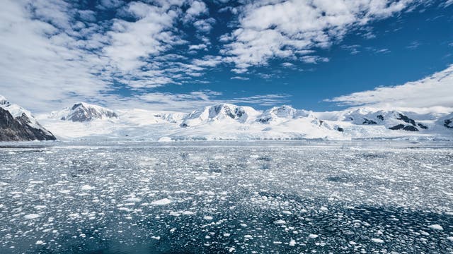 Antarktische Halbinsel Gletscher Südpol 