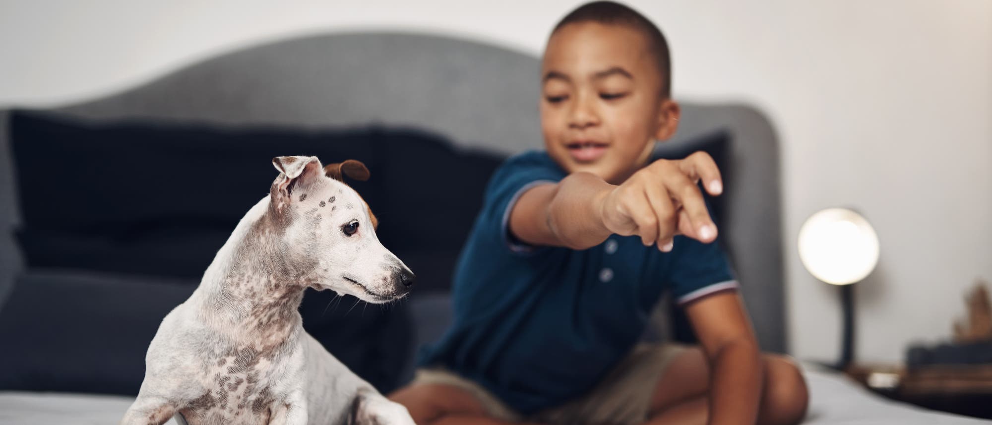 Junge schnippt mit Finger - und ein Hund Junge schnippt mit Finger - und ein Hund