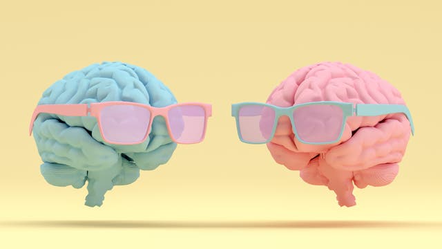 Gehirne mit Sonnenbrille