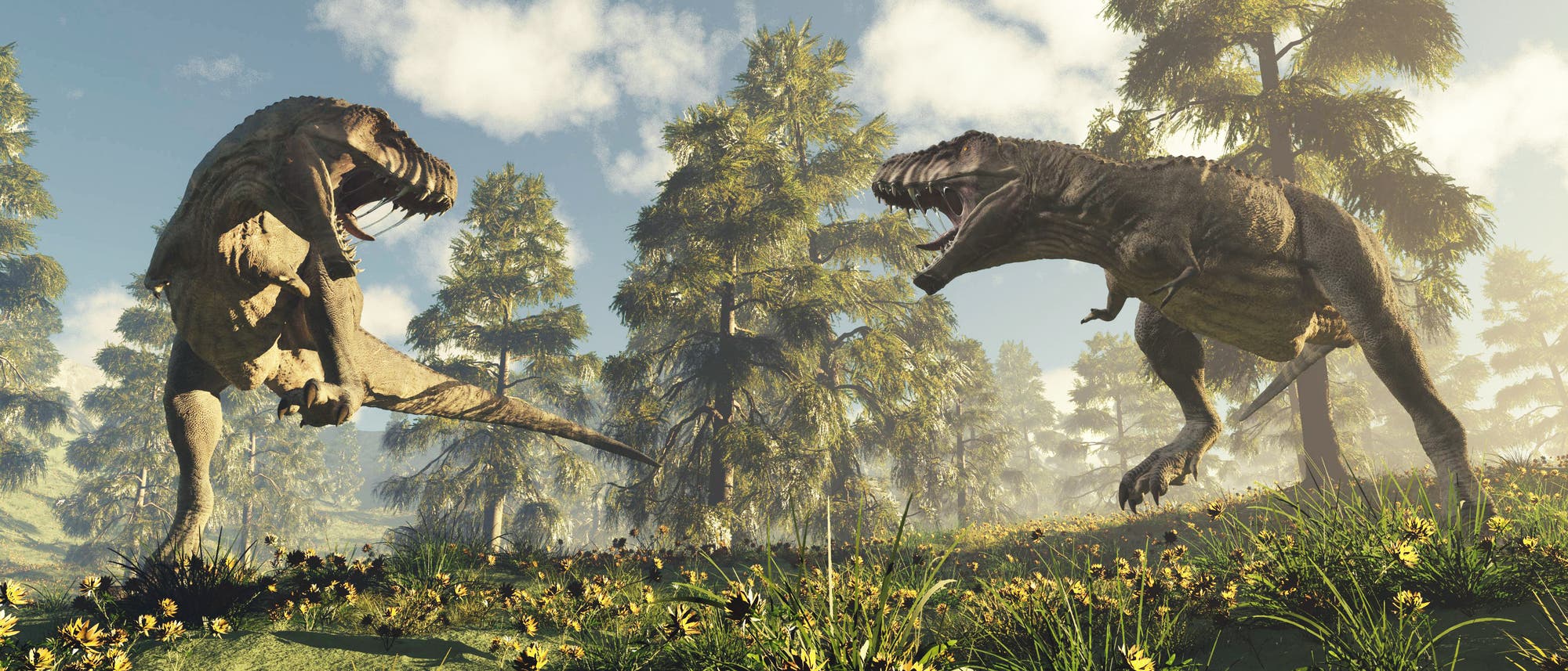 Zwei Tyrannosaurier beim Kämpfen. Zwei Tyrannosaurier beim Kämpfen.