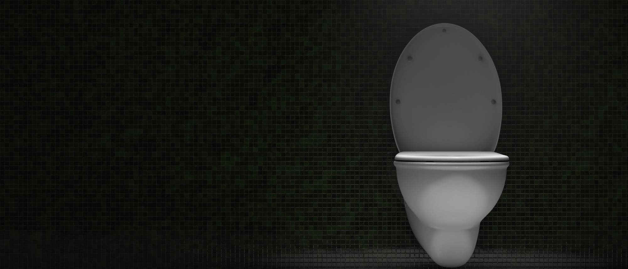Urinrecycling, Abbildung
