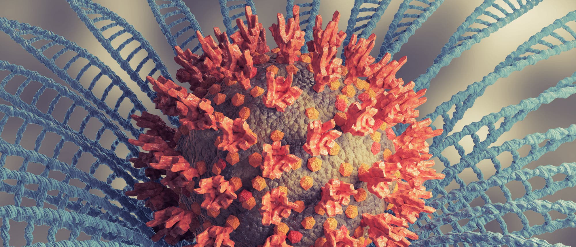 Die Simulation zeigt die Corona-Variante »Omikron«, auch B.1.1.529 genannt, als dreidimensionales Modell. Die Simulation zeigt die Corona-Variante »Omikron«, auch B.1.1.529 genannt, als dreidimensionales Modell.