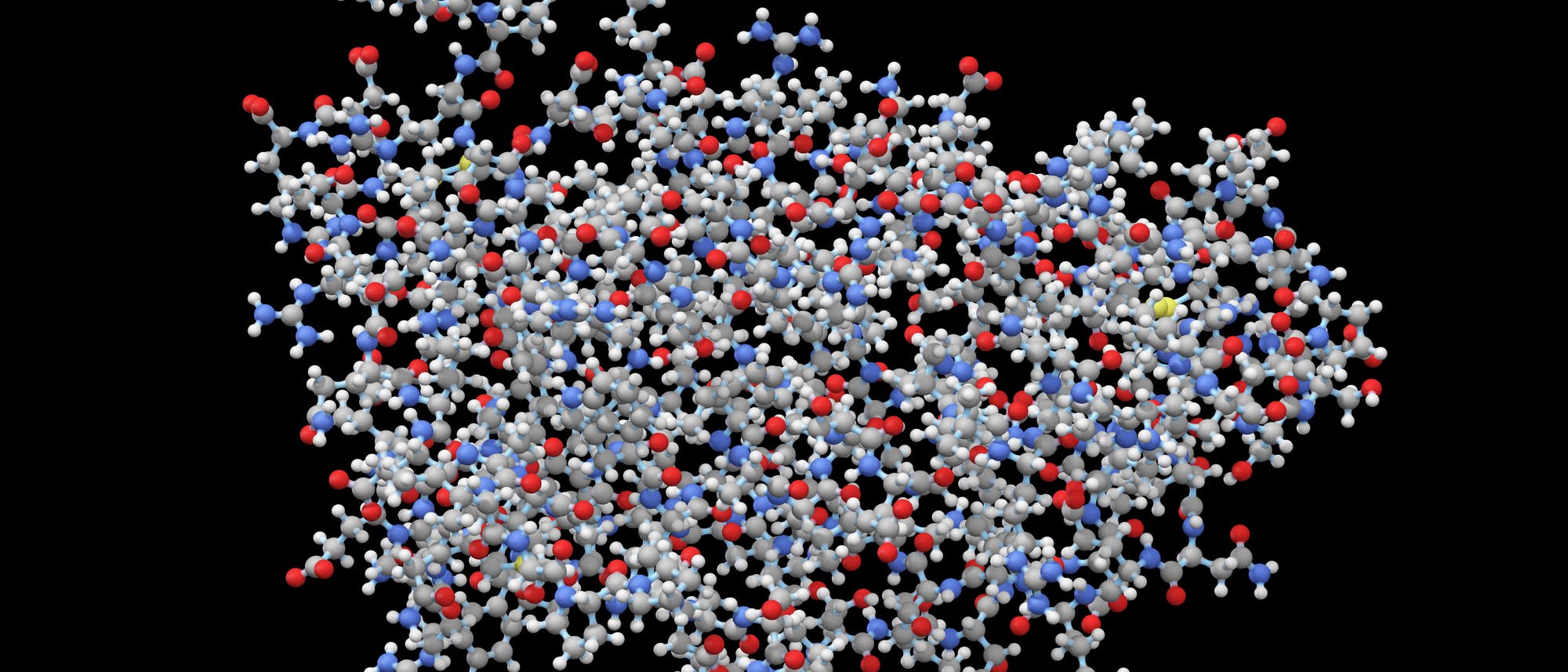 Molekülmodell von Erythropoetin (EPO) Molekülmodell von Erythropoetin (EPO)
