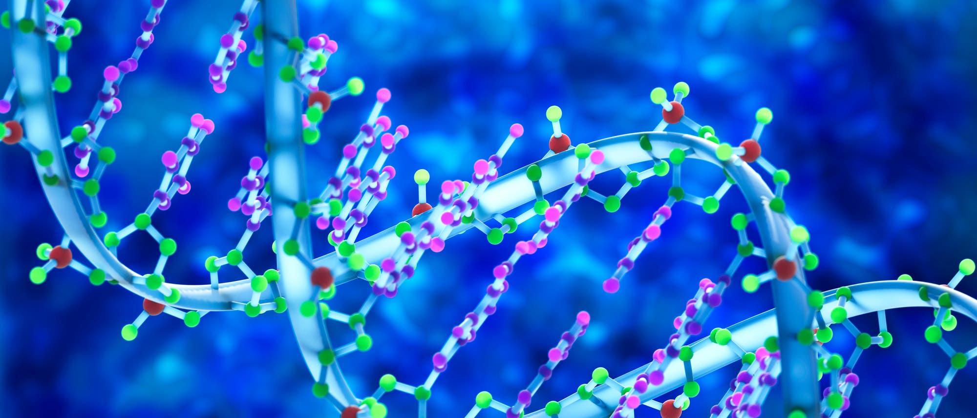 Beim Vervielfältigen des Erbguts entstehen manchmal spontane Mutationen. Beim Vervielfältigen des Erbguts entstehen manchmal spontane Mutationen.