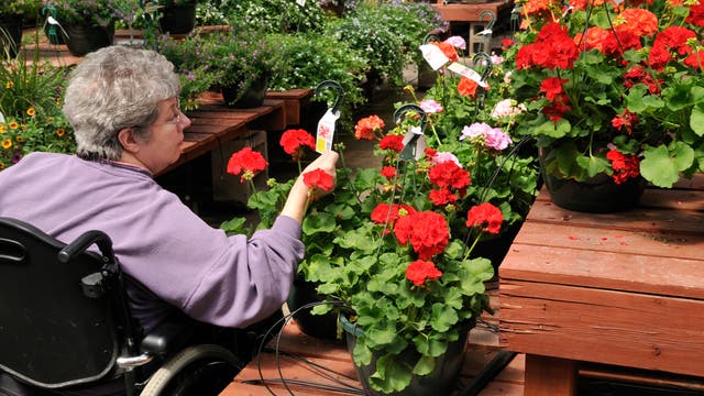 Eine Frau im Rollstuhl kauft Blumen