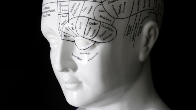 Kopf mit Beschriftung für phrenologische Studien