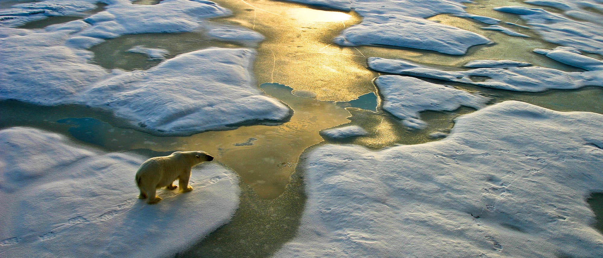 Der Planet erwärmt sich nicht nur rasch, das Tempo hat auch deutlich zugenommen. Der Planet erwärmt sich nicht nur rasch, das Tempo hat auch deutlich zugenommen.