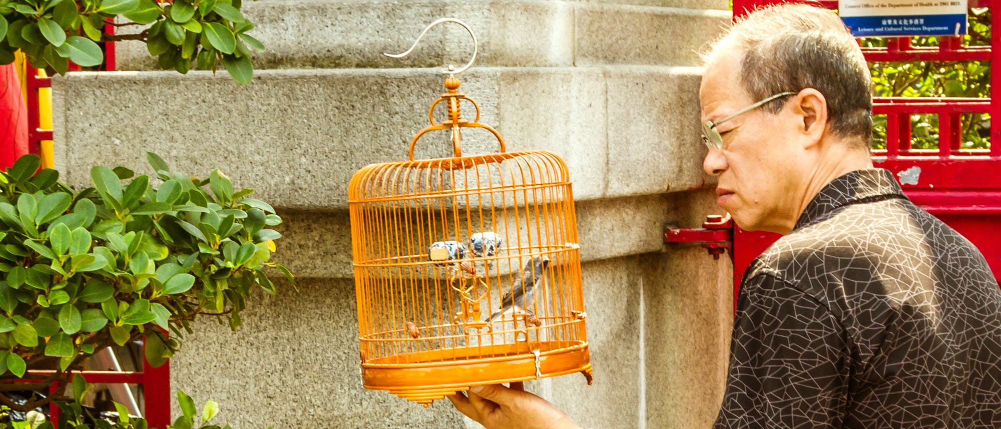 Der Handel mit Wildtieren ist in China nun verboten. Der Handel mit Wildtieren ist in China nun verboten.