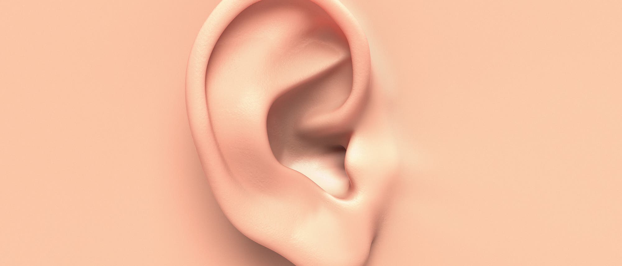 Ohr Ohr