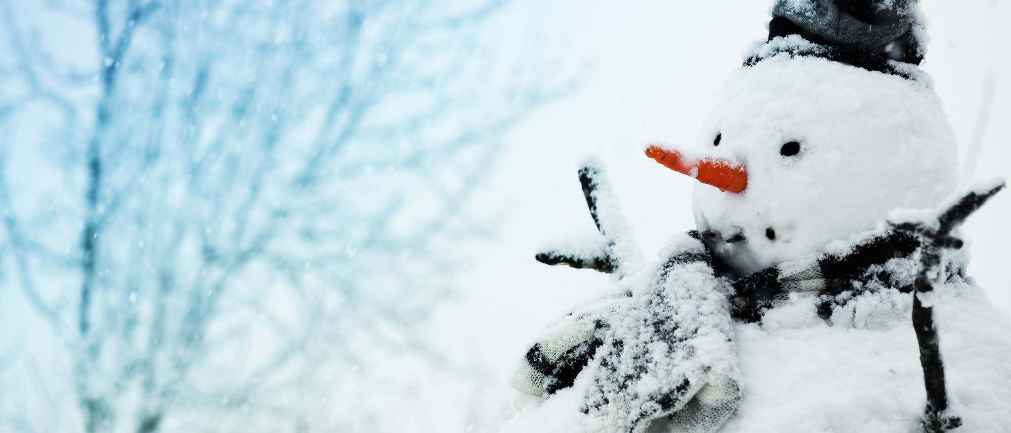 Schneemann Schneemann