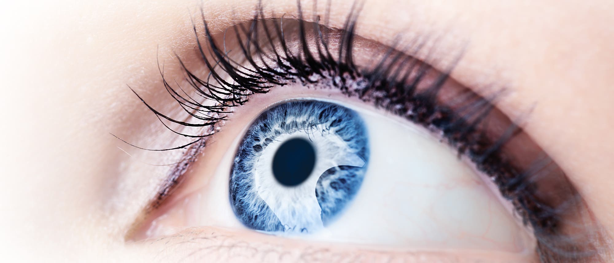 Auge aus der Nähe Auge aus der Nähe
