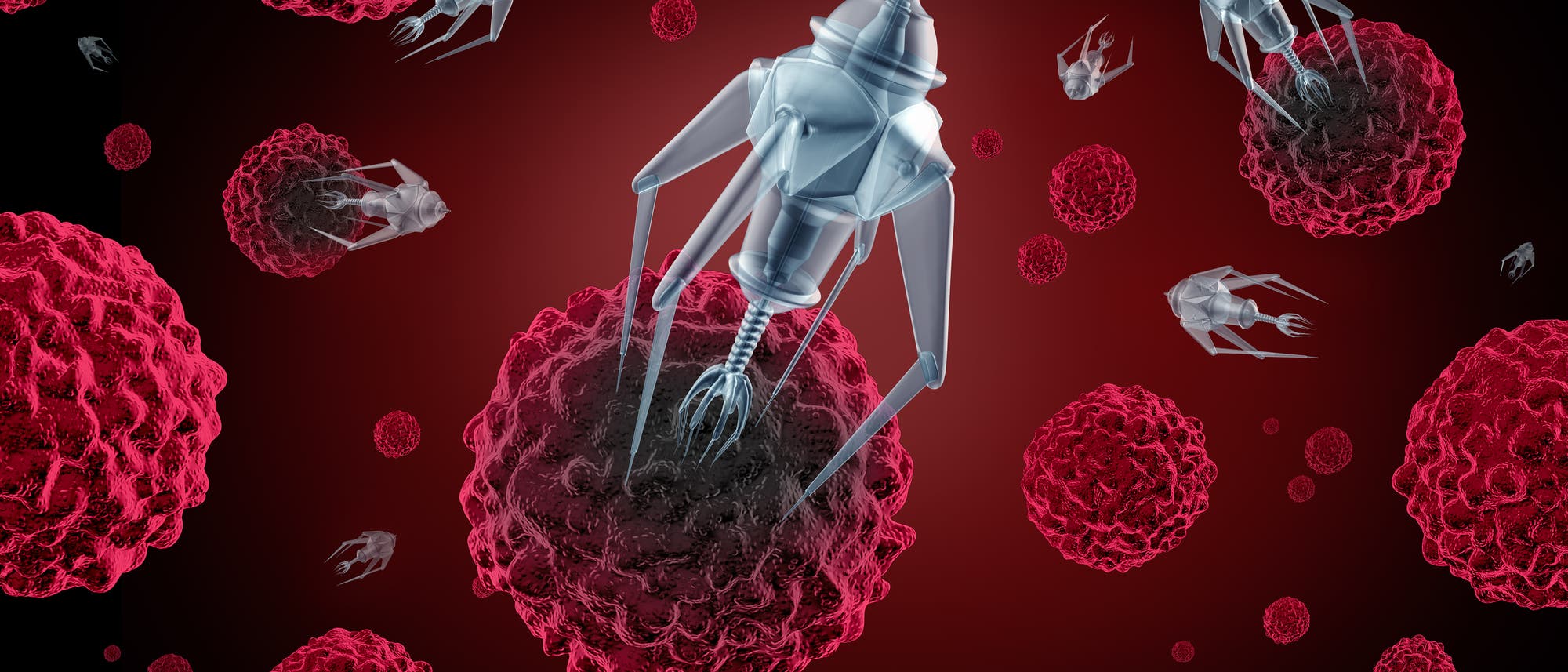 Nanobot Nanobot