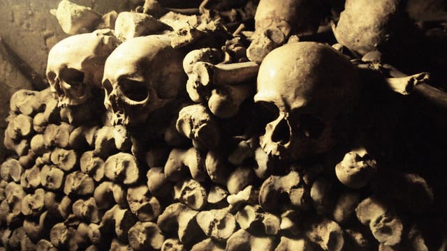 Mehrere Schädel in einer Reihe, in einem Beinhaus mit Opfern der Pest in Paris.
