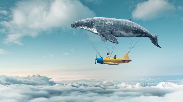 Traumwelt: Kinder in einem Flugzeug über den Wolken, das an einem fliegenden Wal hängt