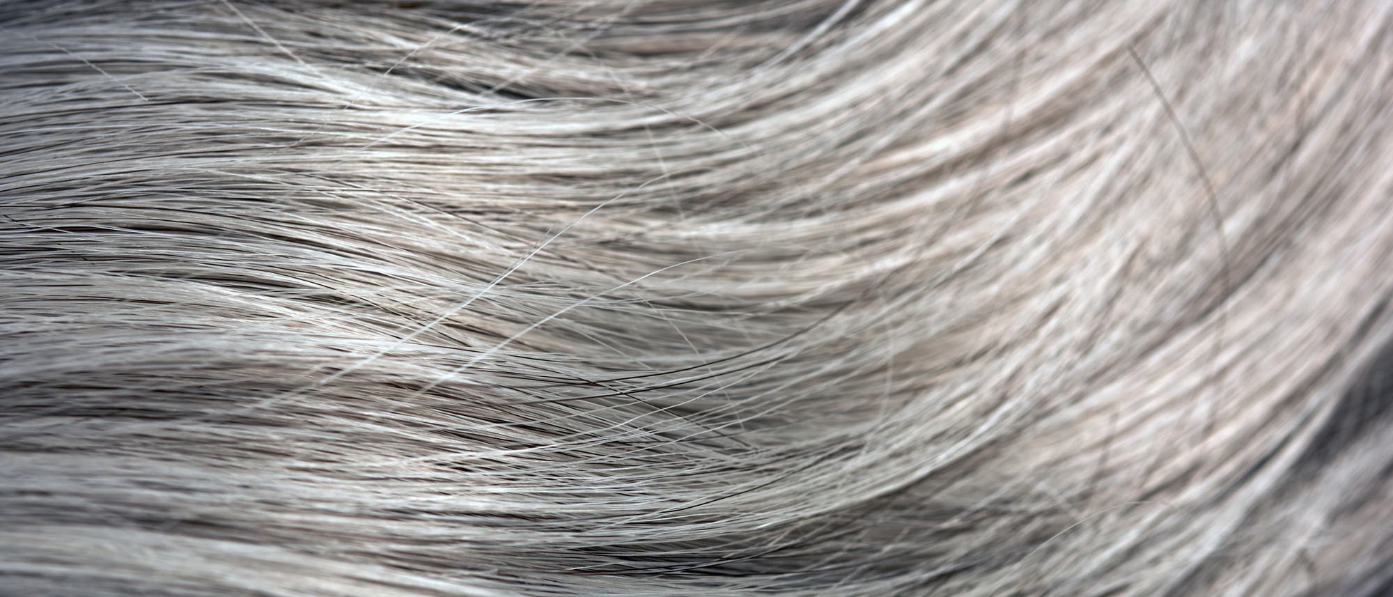 Schwarze haare mit grauen strähnen