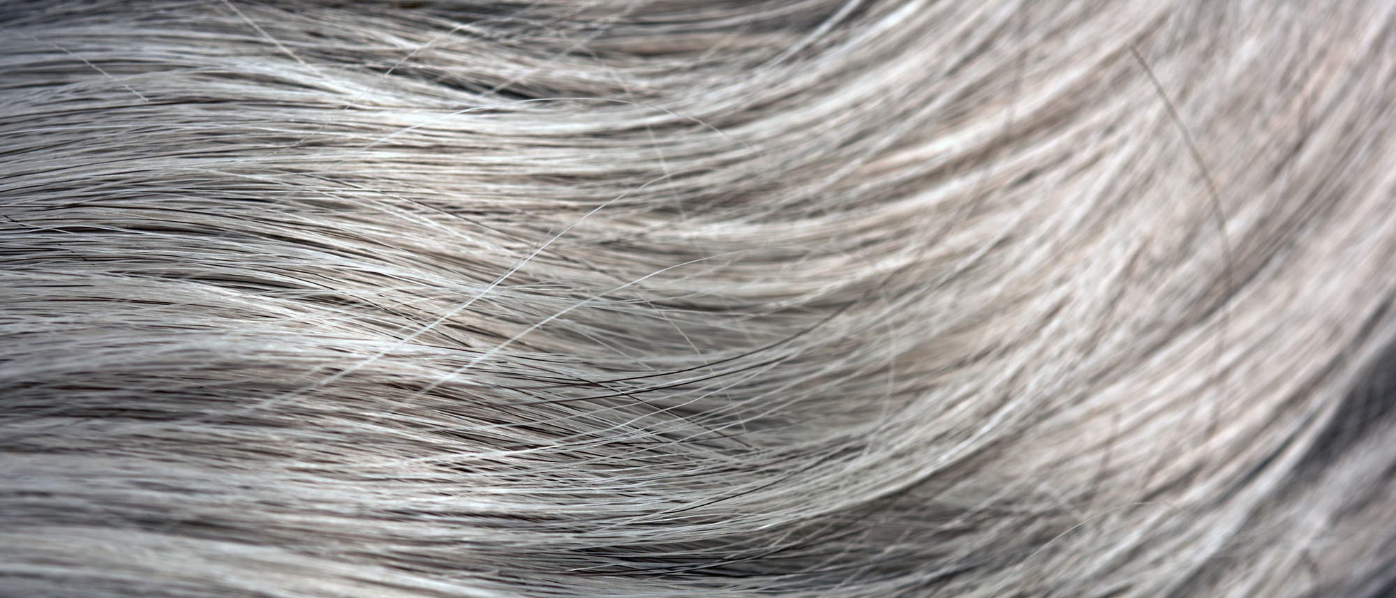 Graue Haare Graue Haare