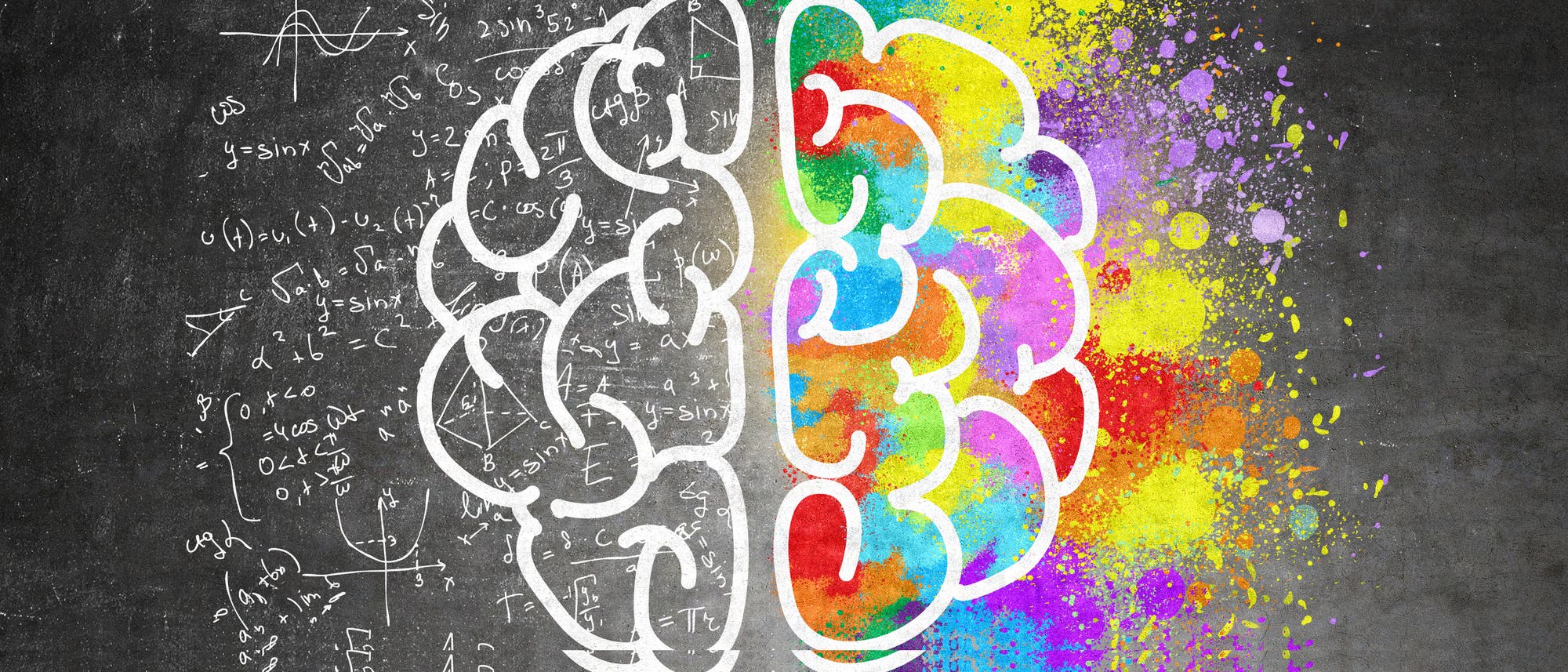 Bunte Vielfalt in den neuronalen Netzwerken Bunte Vielfalt in den neuronalen Netzwerken