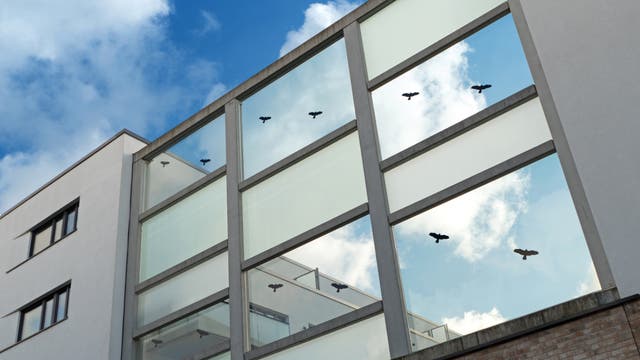 Fenster mit Vogelsilhouetten