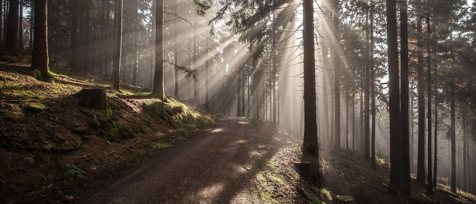 Taunus Taunus