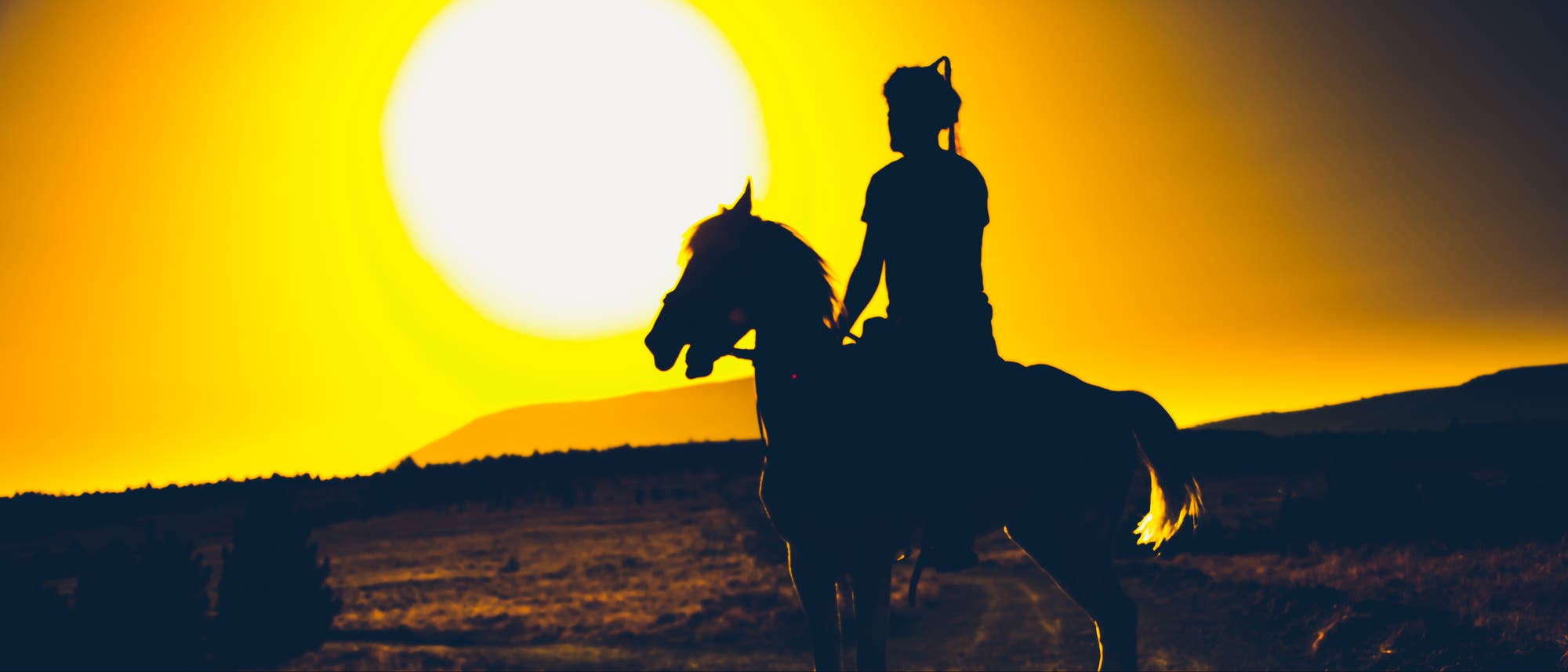Krieger zu Pferd im Sonnenuntergang (Symbolbild)