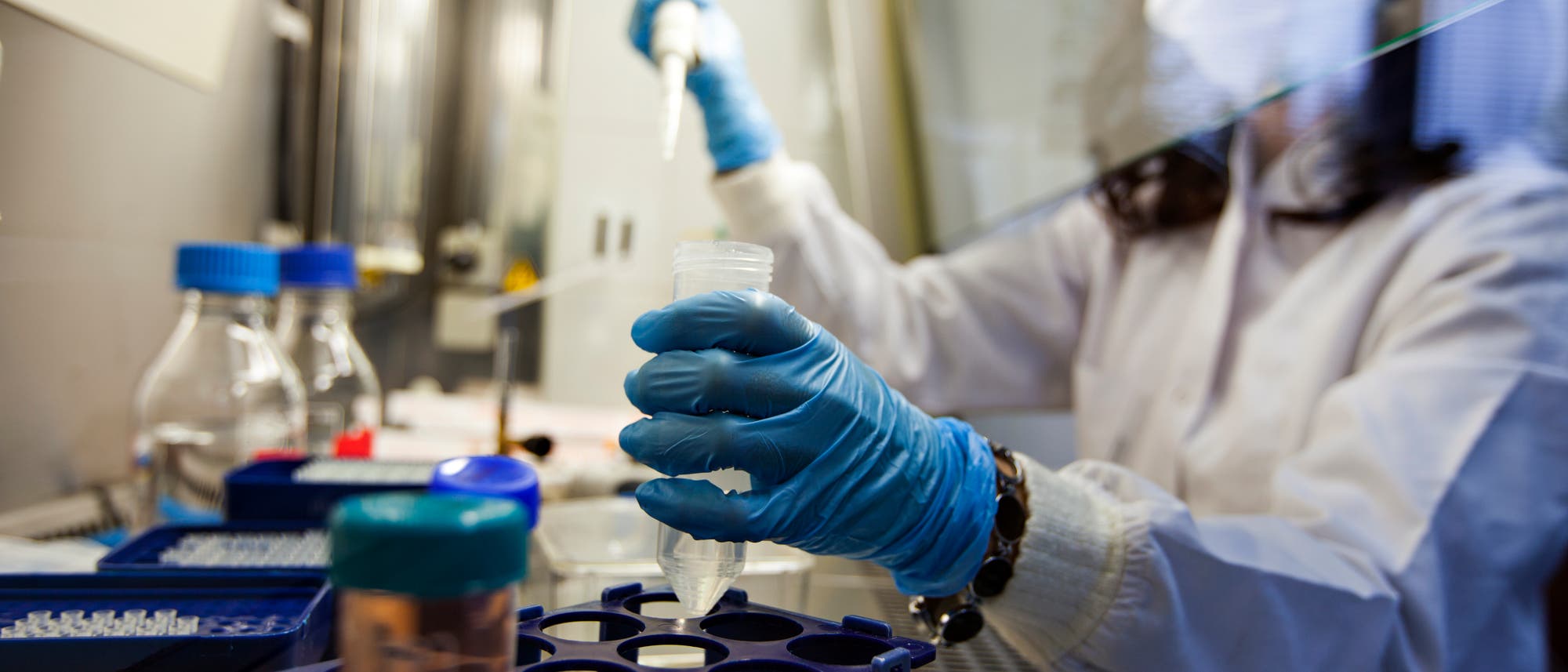Ebola: Eine Forscherin arbeitet mit dem Virus im Labor. Ebola: Eine Forscherin arbeitet mit dem Virus im Labor.