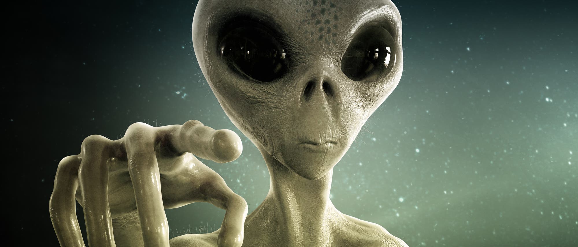 Alien Alien