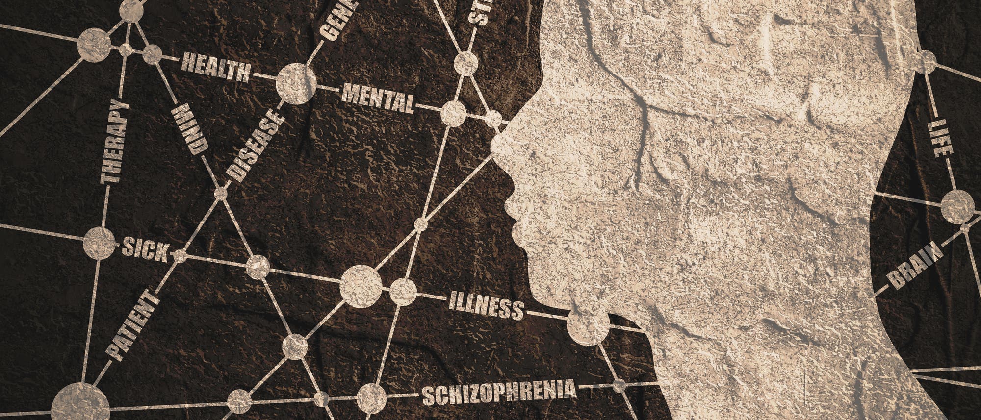 Stilisierter Kopf vor einem Diagnose-Raster Stilisierter Kopf vor einem Diagnose-Raster