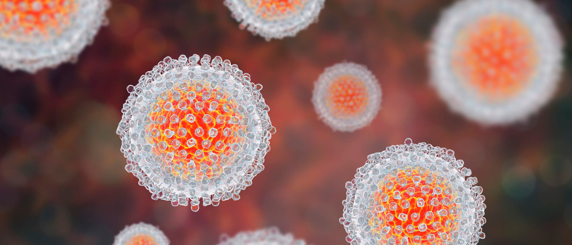 Hepatitis-C-Virus Hepatitis-C-Virus