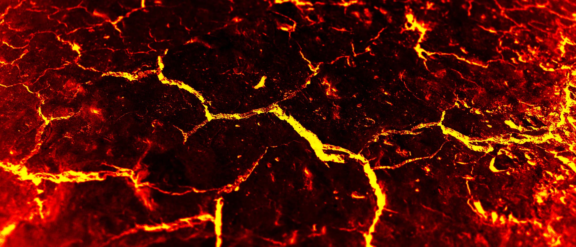 Lava Lava