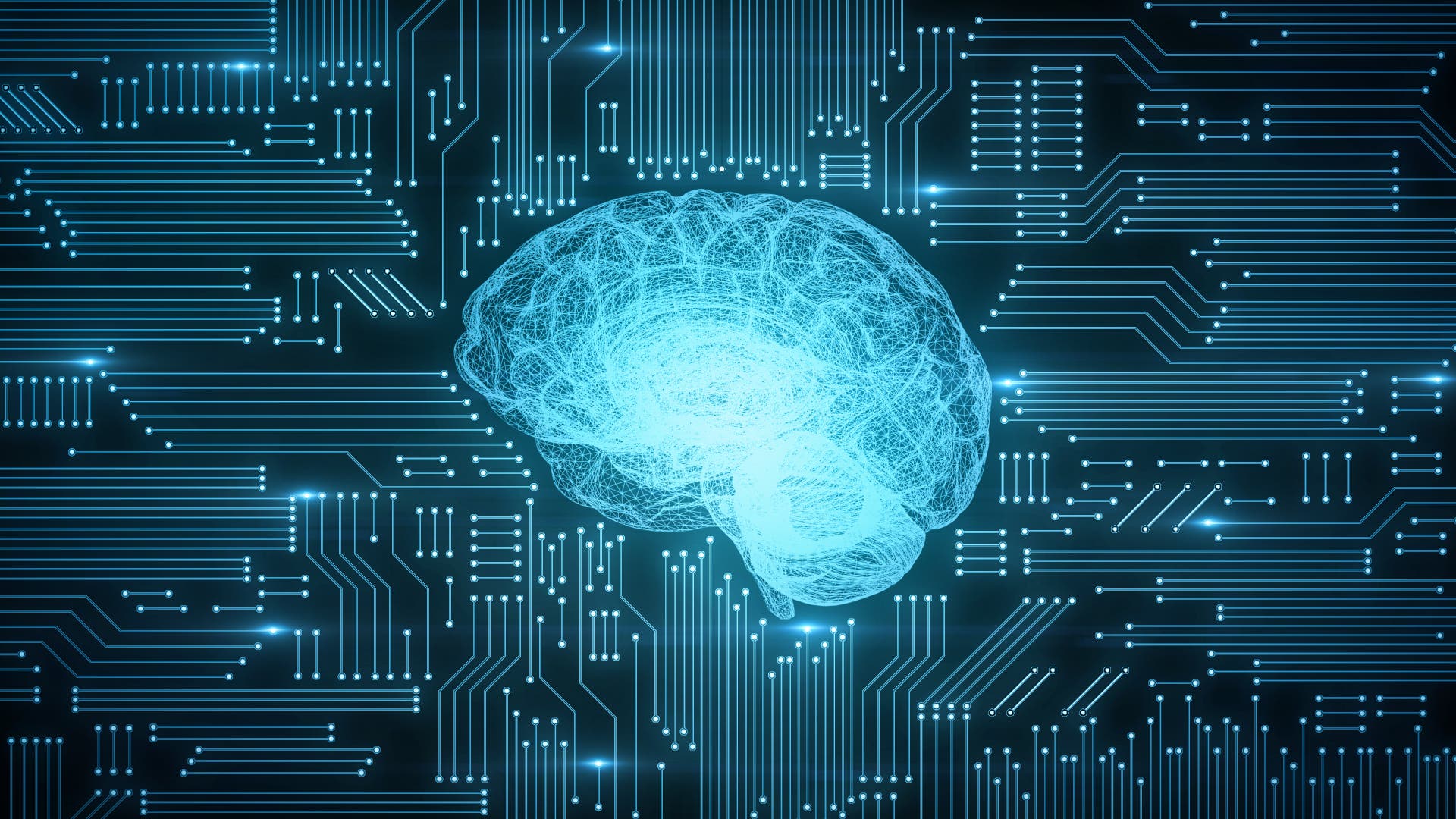 Leseprobe »Künstliche Intelligenz«: Risiken Und Chancen - Spektrum Der  Wissenschaft