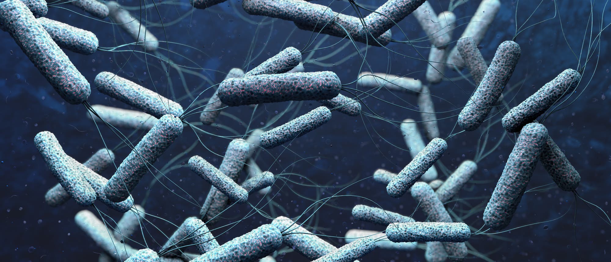 Künstlerische Darstellung von Vibrio-Bakterien. Künstlerische Darstellung von Vibrio-Bakterien.