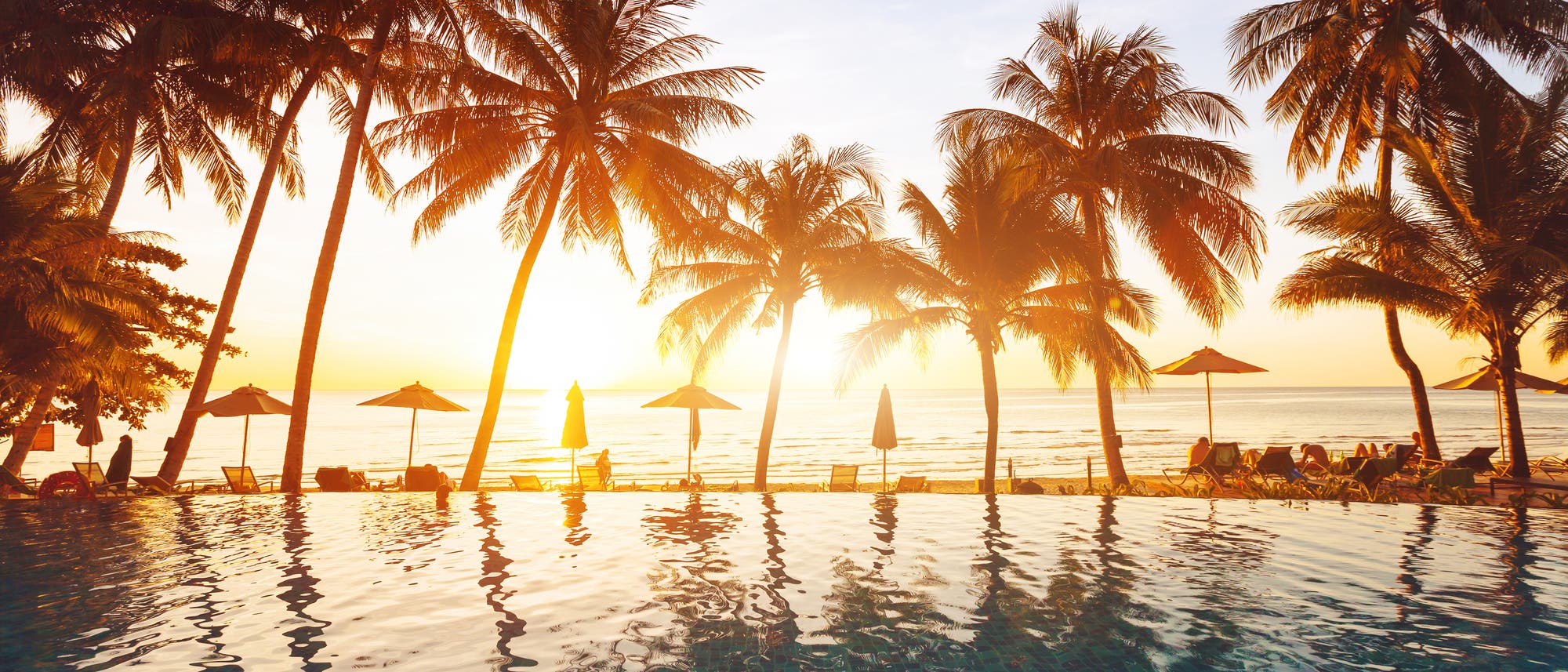 Urlaubsidyll mit Palmen und Meer Urlaubsidyll mit Palmen und Meer