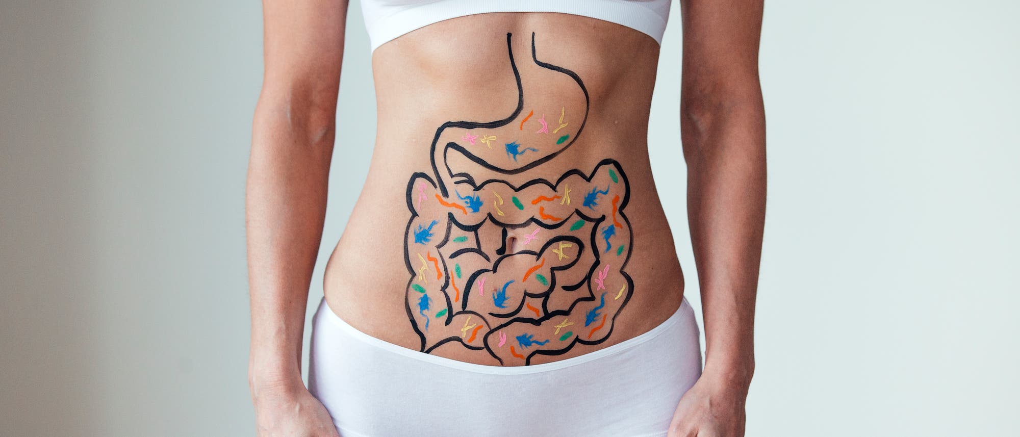 Auf dem Bauch einer jungen Frau ist ein Verdauungstrakt gezeichnet, in dem sich bunte Tiere tummeln, die ICH nicht in meinem Verdauungstrakt haben möchte. Auf dem Bauch einer jungen Frau ist ein Verdauungstrakt gezeichnet, in dem sich bunte Tiere tummeln, die ICH nicht in meinem Verdauungstrakt haben möchte.