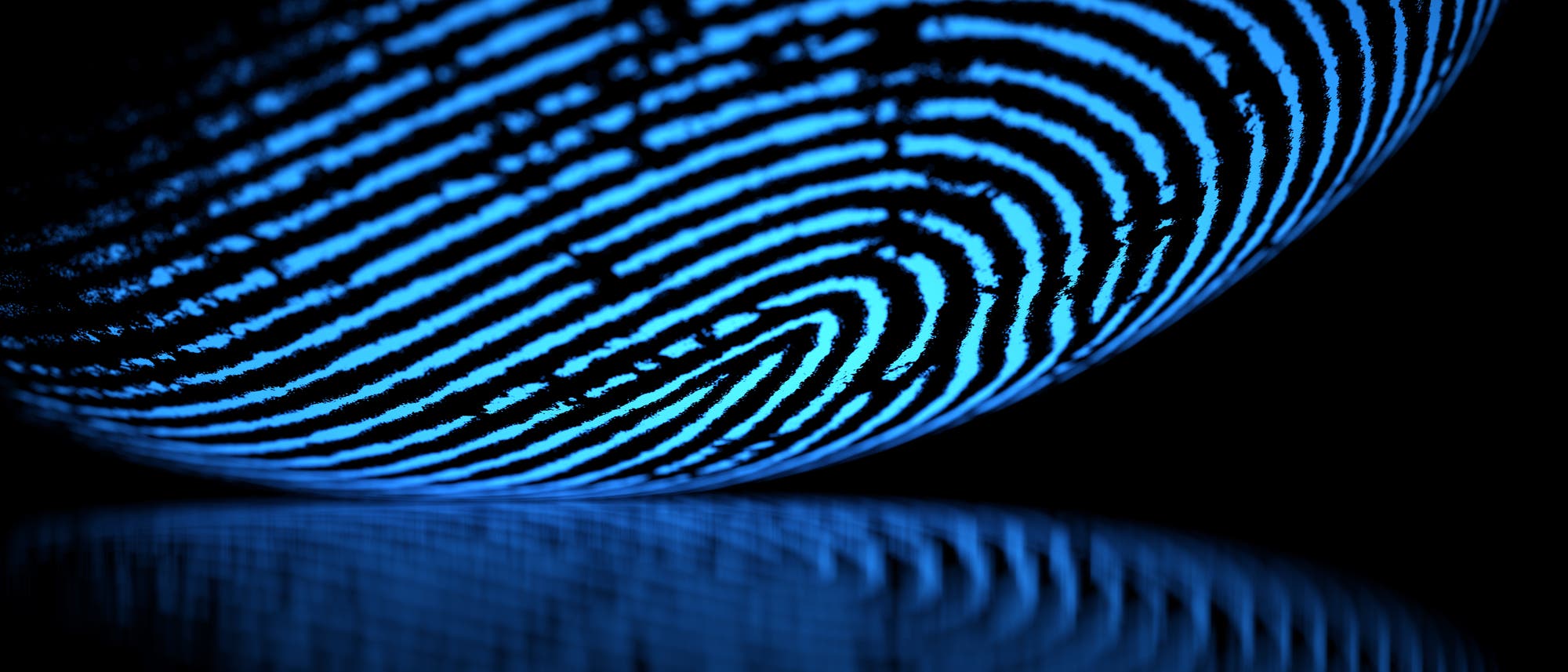 Fingerabdruck in 3-D Fingerabdruck in 3-D