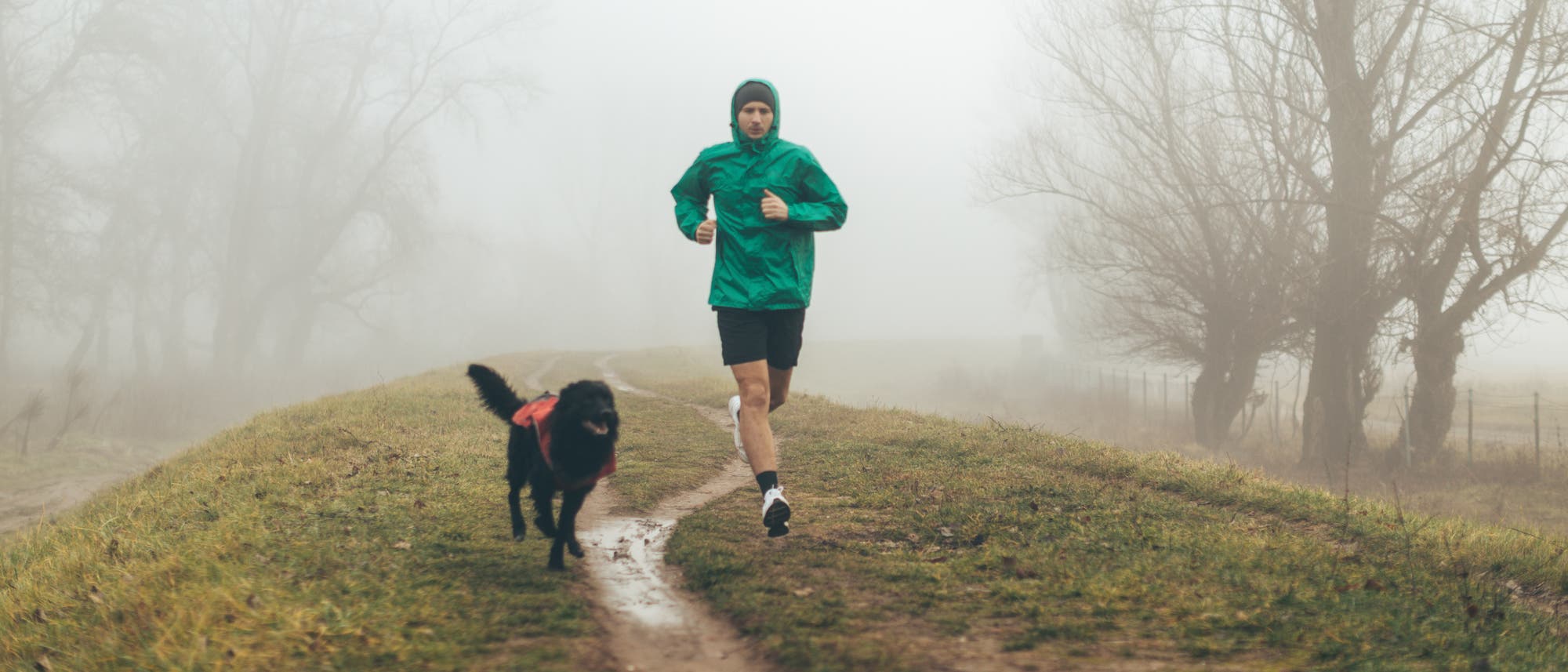 Ziel eines Sportchecks ist es, den Körper und vor allem das Herz-Kreislauf-System auf Sporttauglichkeit zu testen. Ziel eines Sportchecks ist es, den Körper und vor allem das Herz-Kreislauf-System auf Sporttauglichkeit zu testen.