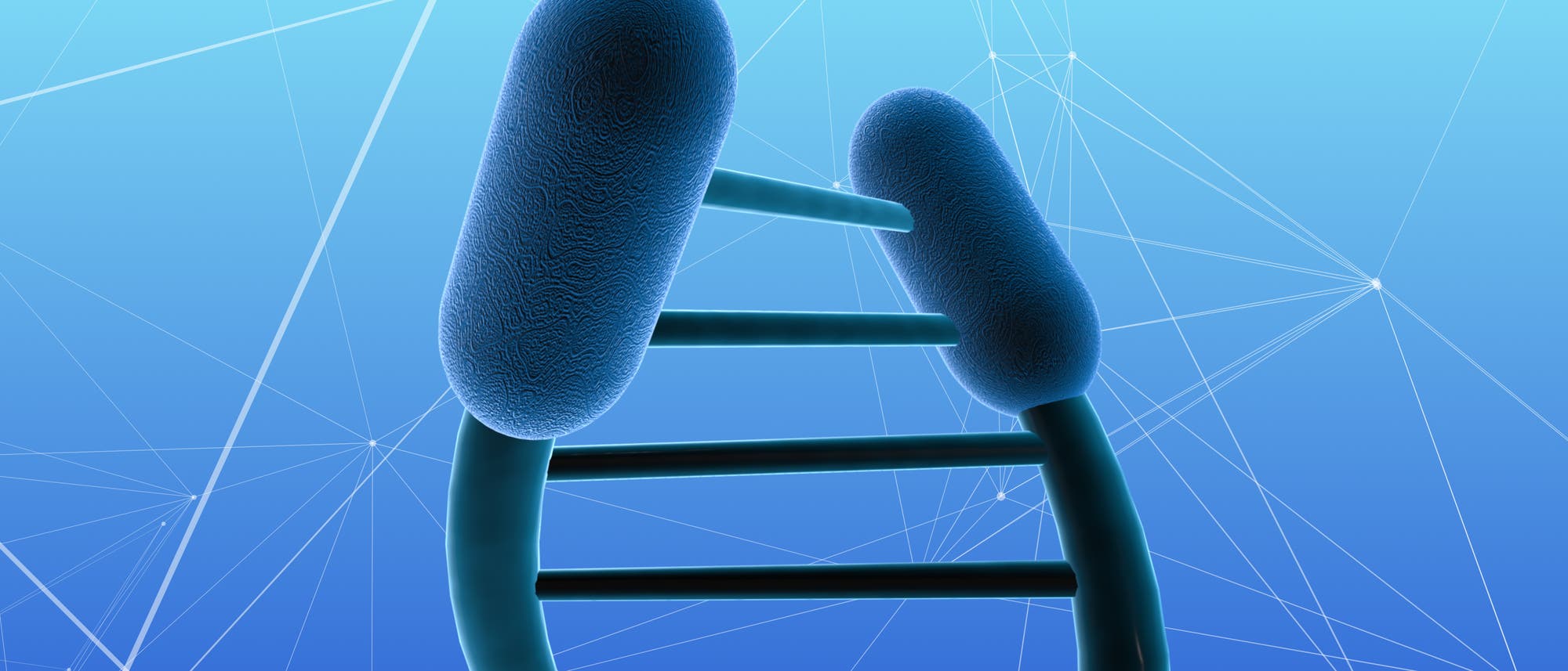 Symbolische Darstellung von Schutzkappen an der DNA Symbolische Darstellung von Schutzkappen an der DNA
