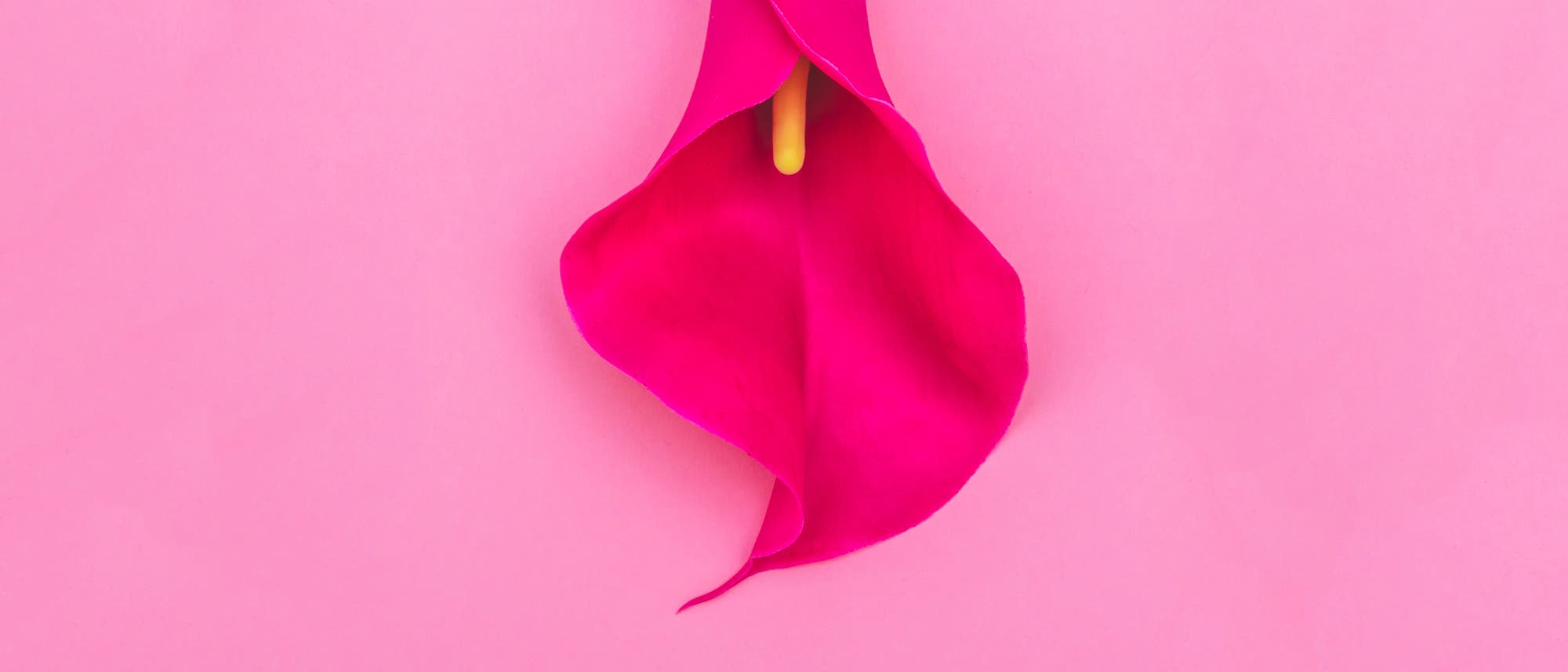 Klitoris in Blütenform