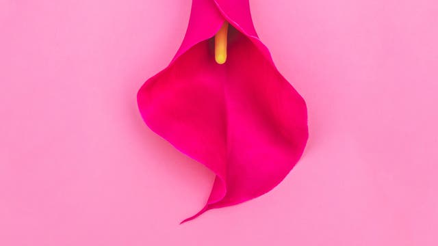 Klitoris in Blütenform
