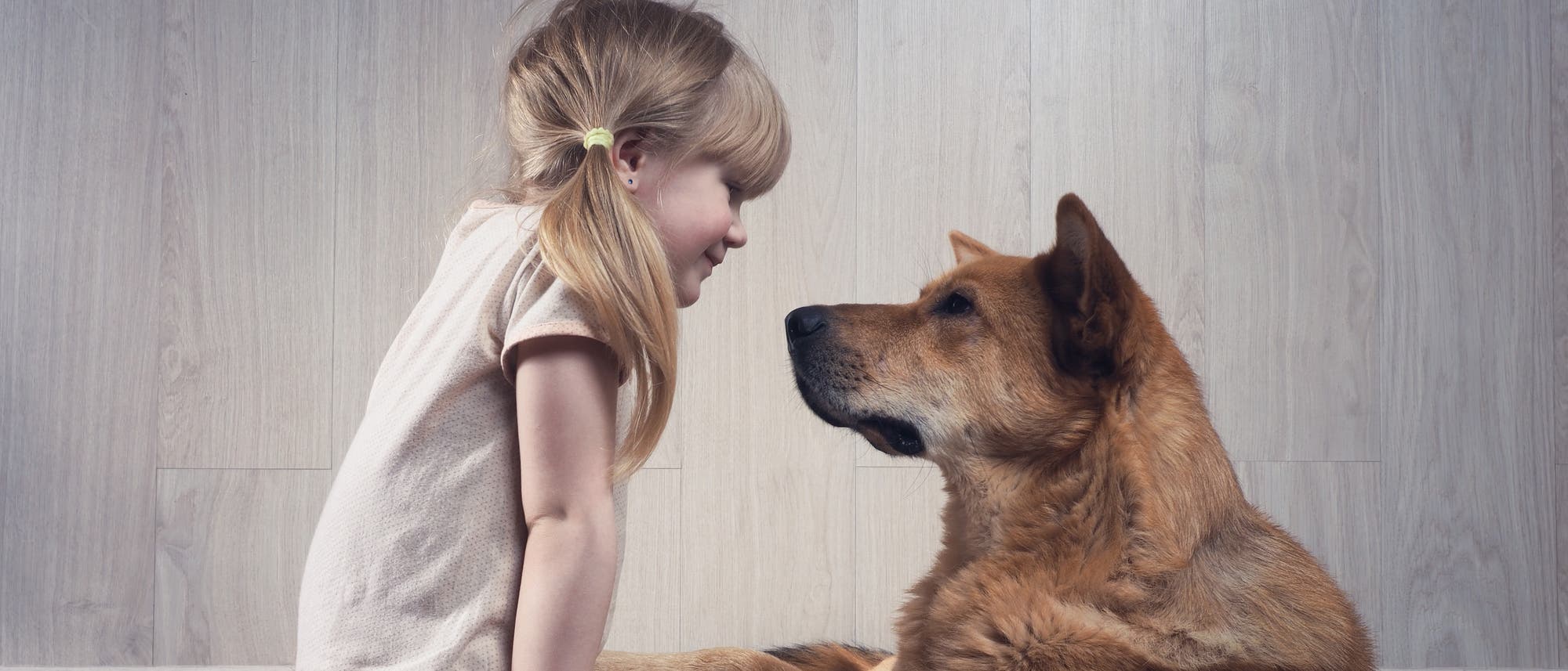 Ein Mädchen und ein Hund sitzen sich gegenüber und schauen einander an Ein Mädchen und ein Hund sitzen sich gegenüber und schauen einander an