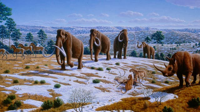 Mammuts auf der Wanderung durch eiszeitliche Landschaft