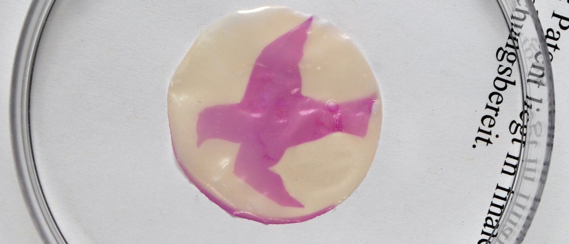 UV-empfindliches Material UV-empfindliches Material