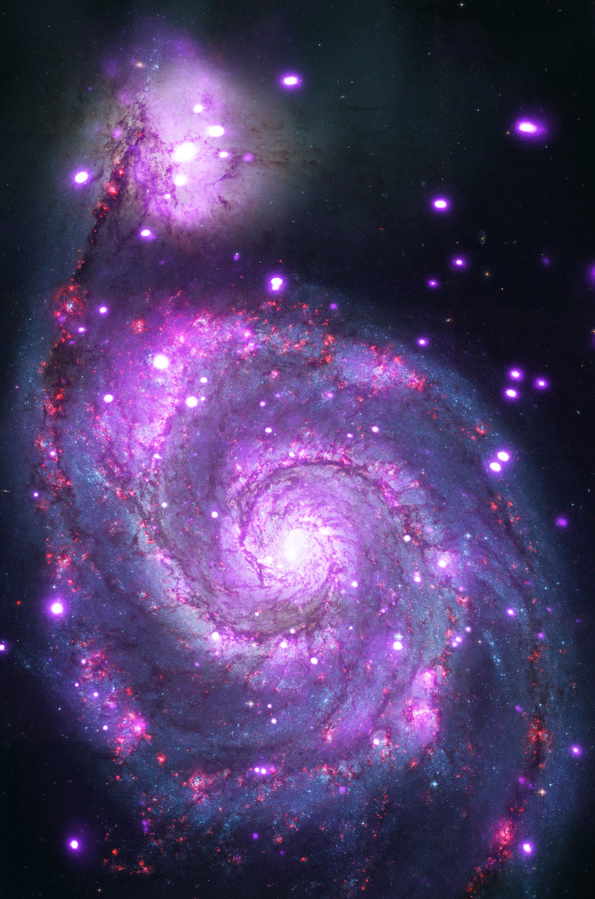 Die Whirlpool-Galaxie M51 mag im sichtbaren Bereich wie eine ganz normale, wenn auch sehr hübsche Spiralgalaxie aussehen. In diesem Komposit aus einer Aufnahme im sichtbaren Bereich des elektromagnetischen Spektrums sowie einer Aufnahme im Röntgenbereich mithilfe des Chandra-Röntgenteleskops sind zusätzlich die hell leuchtenden Röntgenquellen in der Whirlpool-Galaxie zu erkennen.  