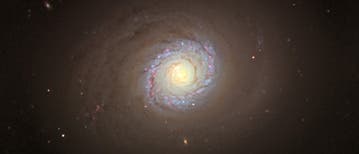 Spiralgalaxie NGC 4736 Spiralgalaxie NGC 4736