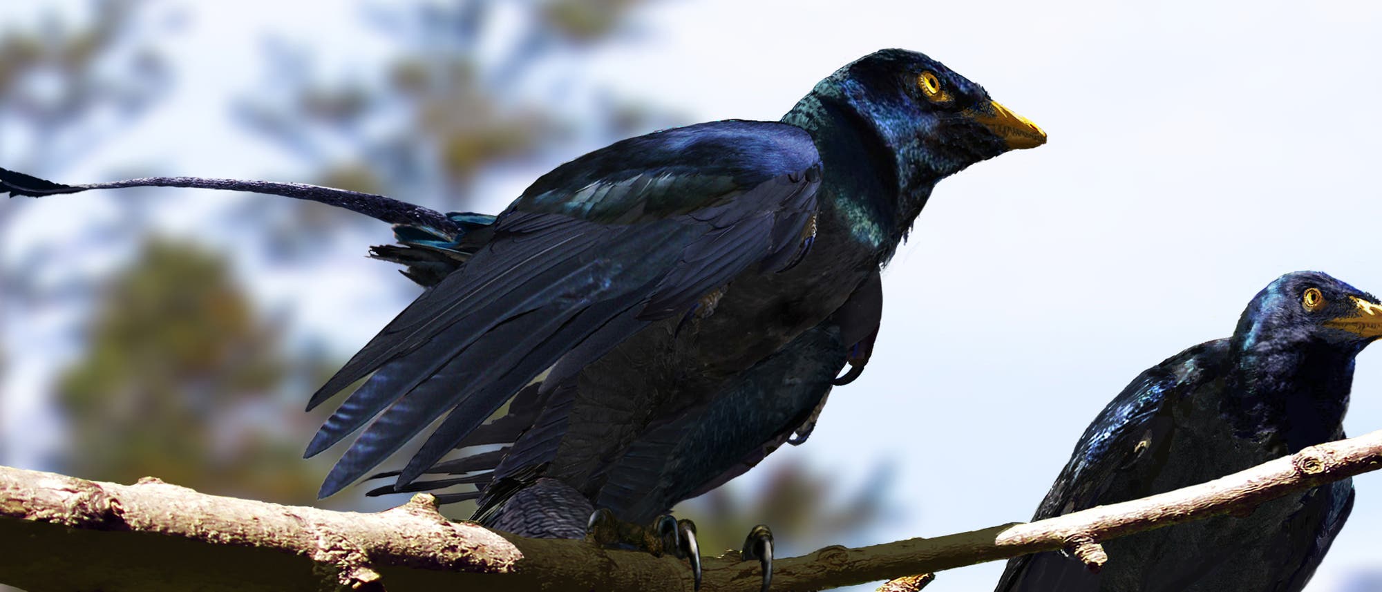 Microraptor auf Ast Microraptor auf Ast
