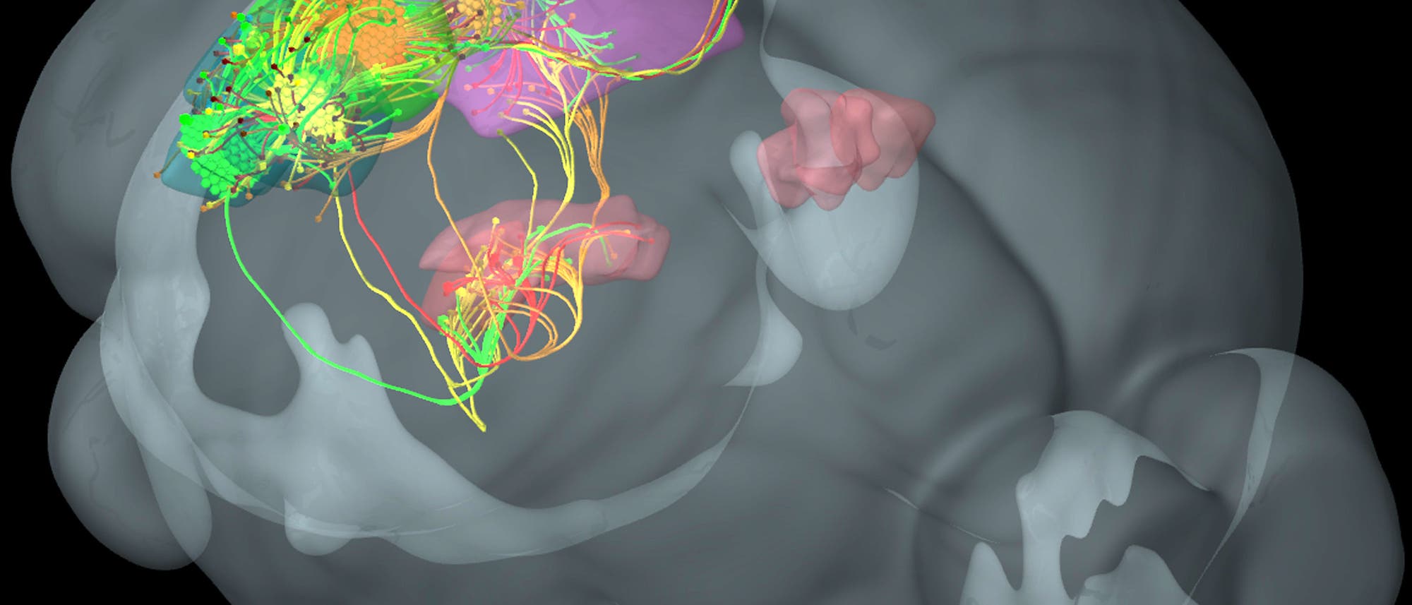 Sehsystem in 3-D Sehsystem in 3-D