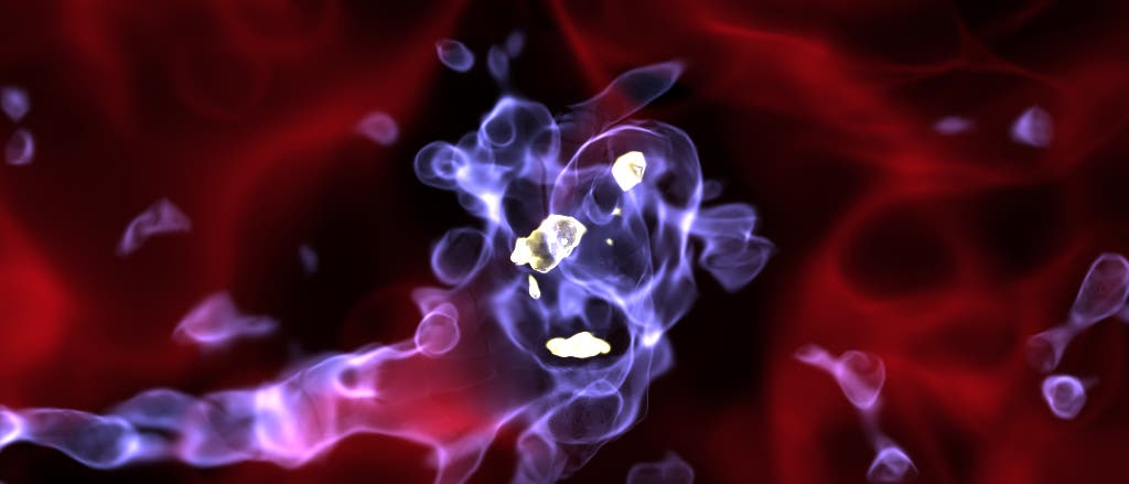 Simulation der Gasverteilung in einer Starburst-Galaxie Simulation der Gasverteilung in einer Starburst-Galaxie