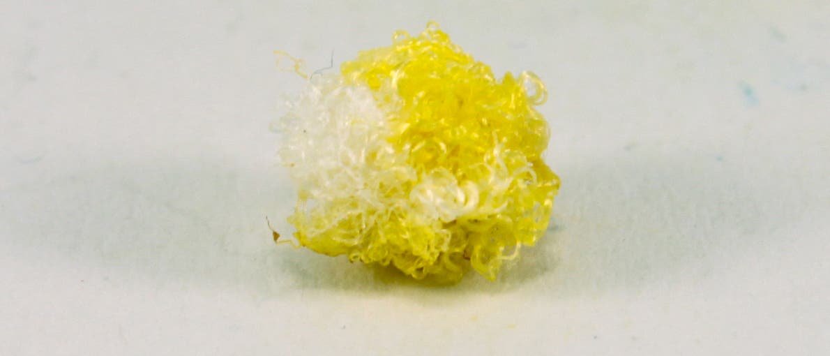 Baumwolle stellt fluoreszierende Fasern selbst her. Baumwolle stellt fluoreszierende Fasern selbst her.
