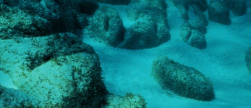 Stromatolithe im Meer Stromatolithe im Meer