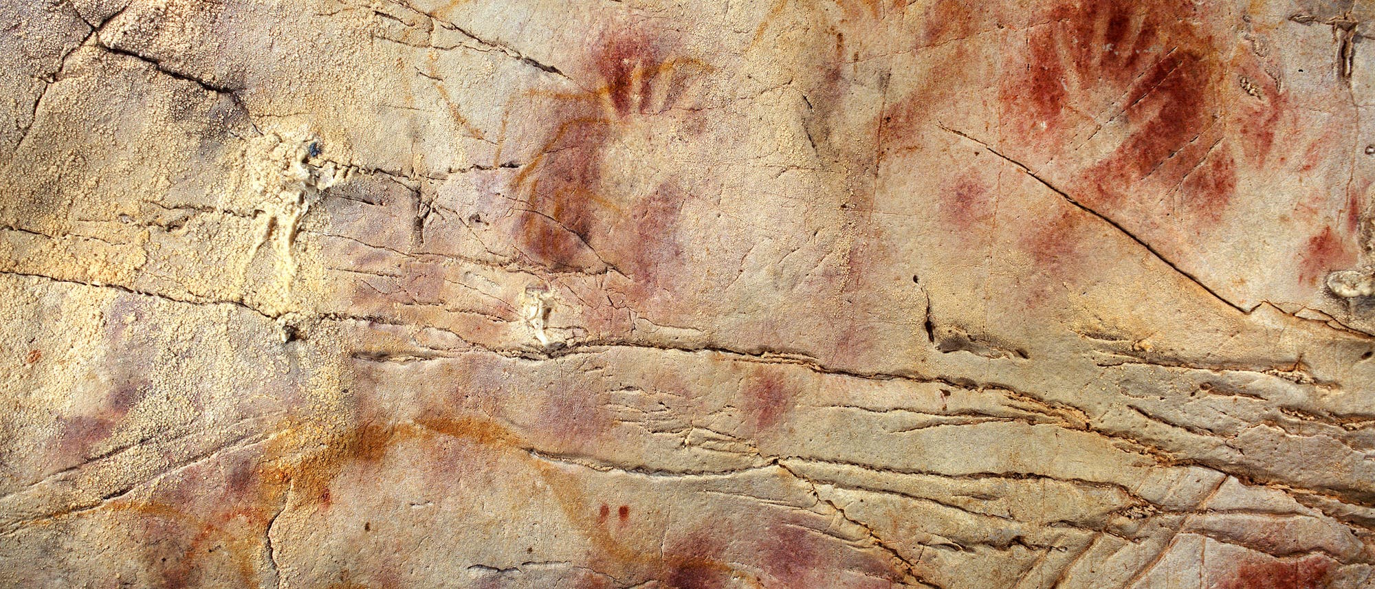 Älteste Höhlenkunst Europas entstand vor über 40 000 Jahren Älteste Höhlenkunst Europas entstand vor über 40 000 Jahren